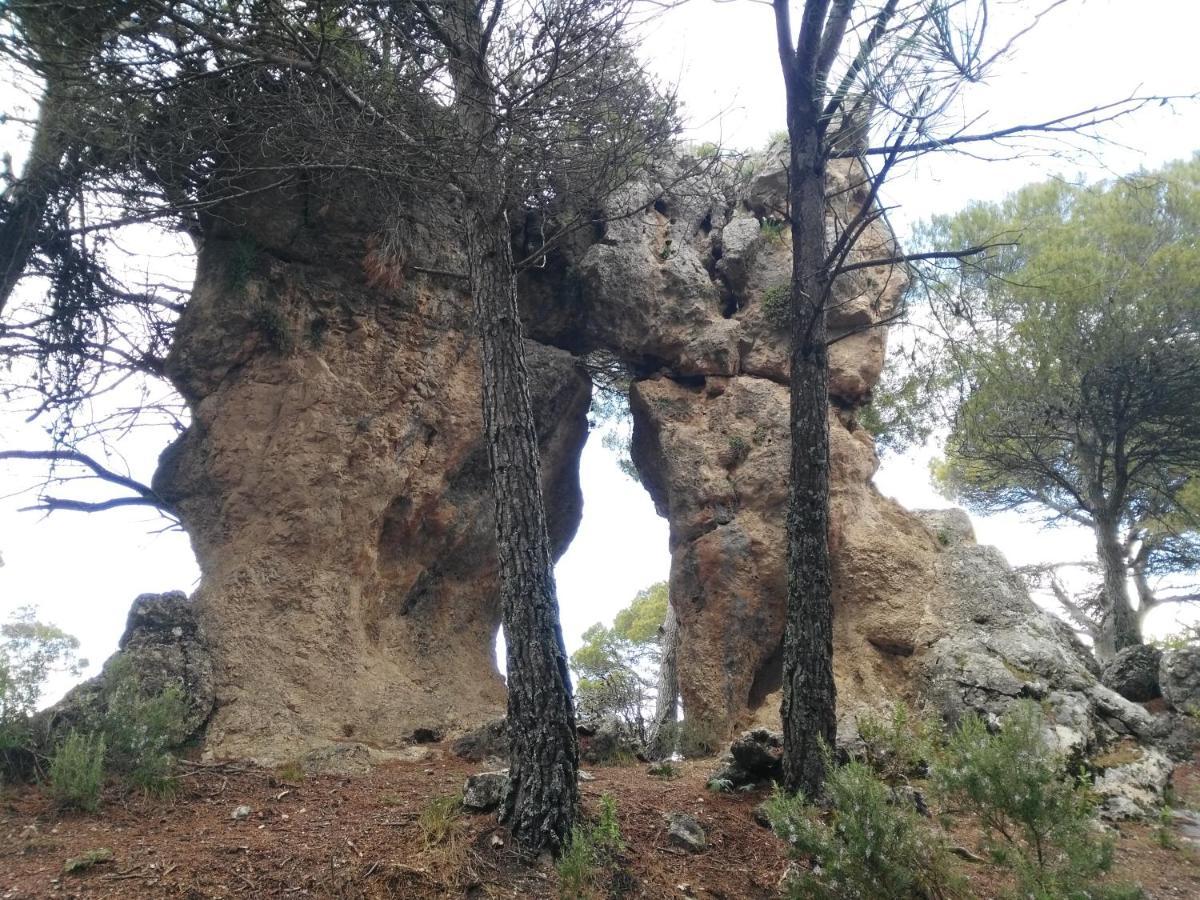 Hébergement de vacances Del Valle Vtar *