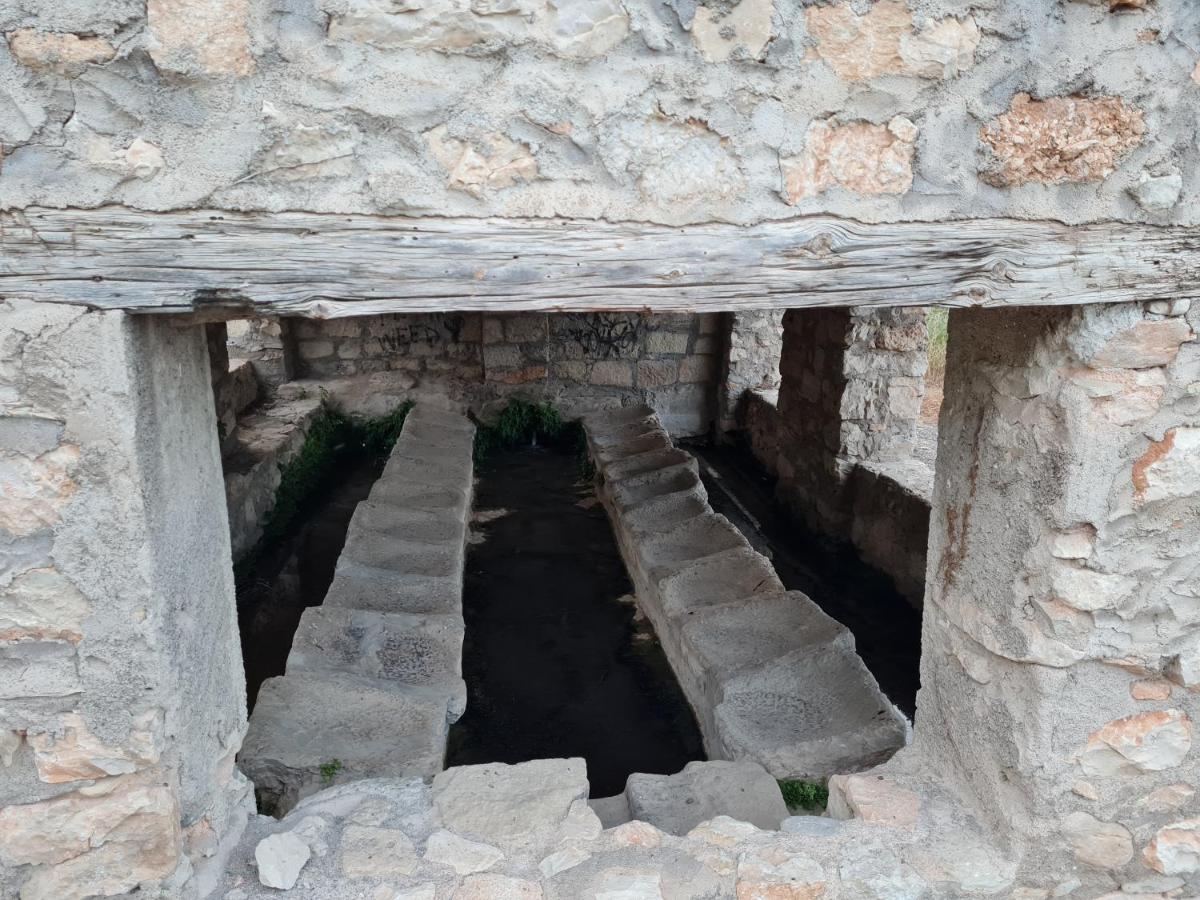 Del Valle Vtar Jaén