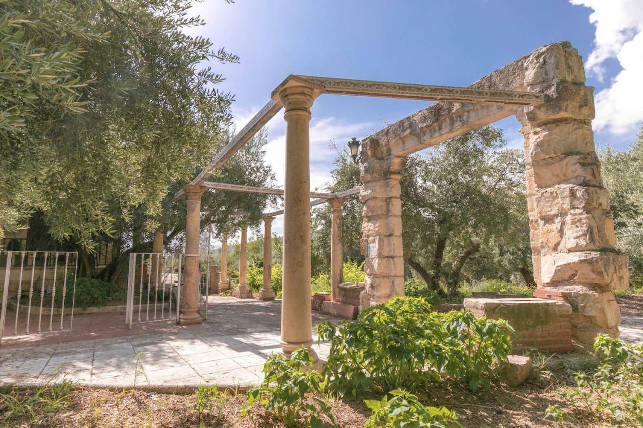 Del Valle Vtar Jaén