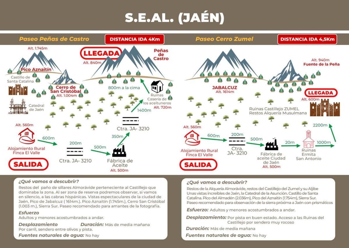 Del Valle Vtar Jaen